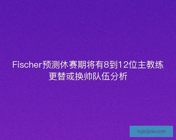 Fischer预测休赛期将有8到12位主教练更替或换帅队伍分析
